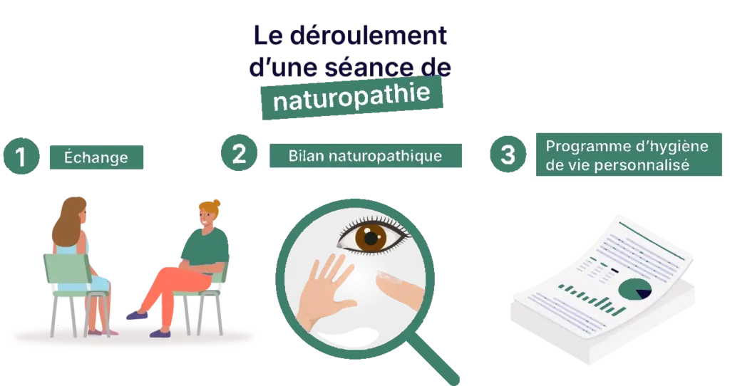 Pourquoi consulter un naturopathe, déroulement d'une séance de naturopathie Naturopathe.pro