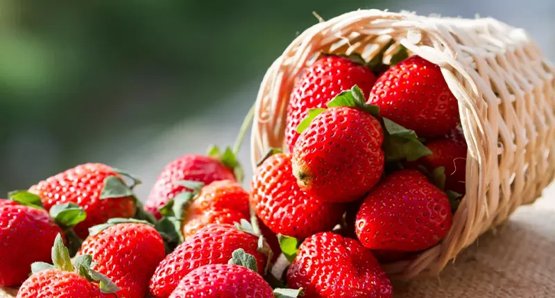 Post bienfaits des fraises Naturopathe 800x430