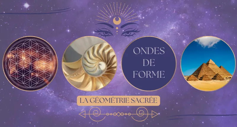 Post Ondes de forme Naturopathe 800x430