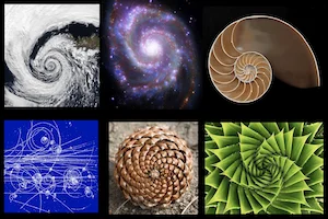 Spirale d'or naturopathe.pro
