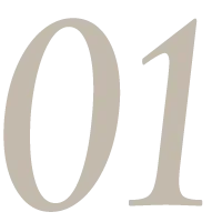 01