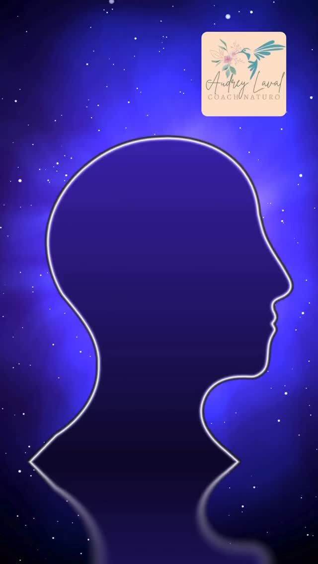 Et puis j’ai compris quelque chose d’essentiel…
Le Human Design n’est pas là pour te mettre dans une case.
Il est là pour t’aider à comprendre comment toi, tu fonctionnes naturellement.
Pourquoi certaines choses t’épuisent alors qu’elles semblent faciles pour d’autres.
Pourquoi tu peux ressentir un décalage, une surcharge mentale ou émotionnelle.
Pourquoi parfois… tu forces contre ton propre fonctionnement.
Et honnêtement ?
Quand j’ai commencé à l’utiliser dans mes accompagnements, tout est devenu beaucoup plus clair.
Parce que je ne regarde pas seulement “ce qu’il faut faire”.
Je regarde surtout :
✨ comment ton énergie fonctionne
✨ ce dont ton système nerveux a réellement besoin
✨ ta manière de prendre des décisions
✨ ton rythme naturel
✨ tes blocages émotionnels et énergétiques
C’est ce qui me permet d’accompagner mes clientes de façon beaucoup plus profonde, humaine et personnalisée.
Pas avec une méthode copiée-collée.
Mais avec un accompagnement qui respecte réellement qui elles sont.
Et c’est souvent à ce moment-là que tout commence à changer. 🌿

#humandesigncoach #developpementpersonnel #energiefeminine #accompagnementféminin