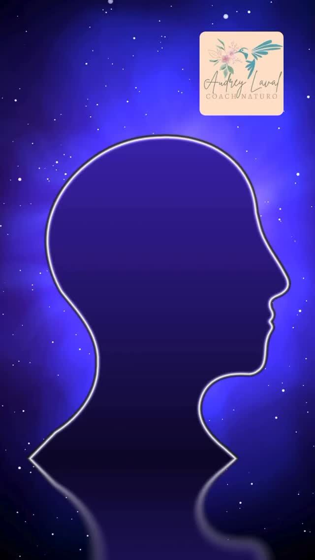 On m’a souvent demandé pourquoi j’ai intégré le Human Design dans mes accompagnements…

La vérité ?�Je n’ai jamais été sceptique

Mais j’ai été bluffée�Dès le début

Par la précision�Par les détails
�Par ce que ça disait de moi… alors que la personne ne me connaissait pas

👉 Et c’est là que j’ai eu un vrai déclic�Je t’explique dans la partie 2